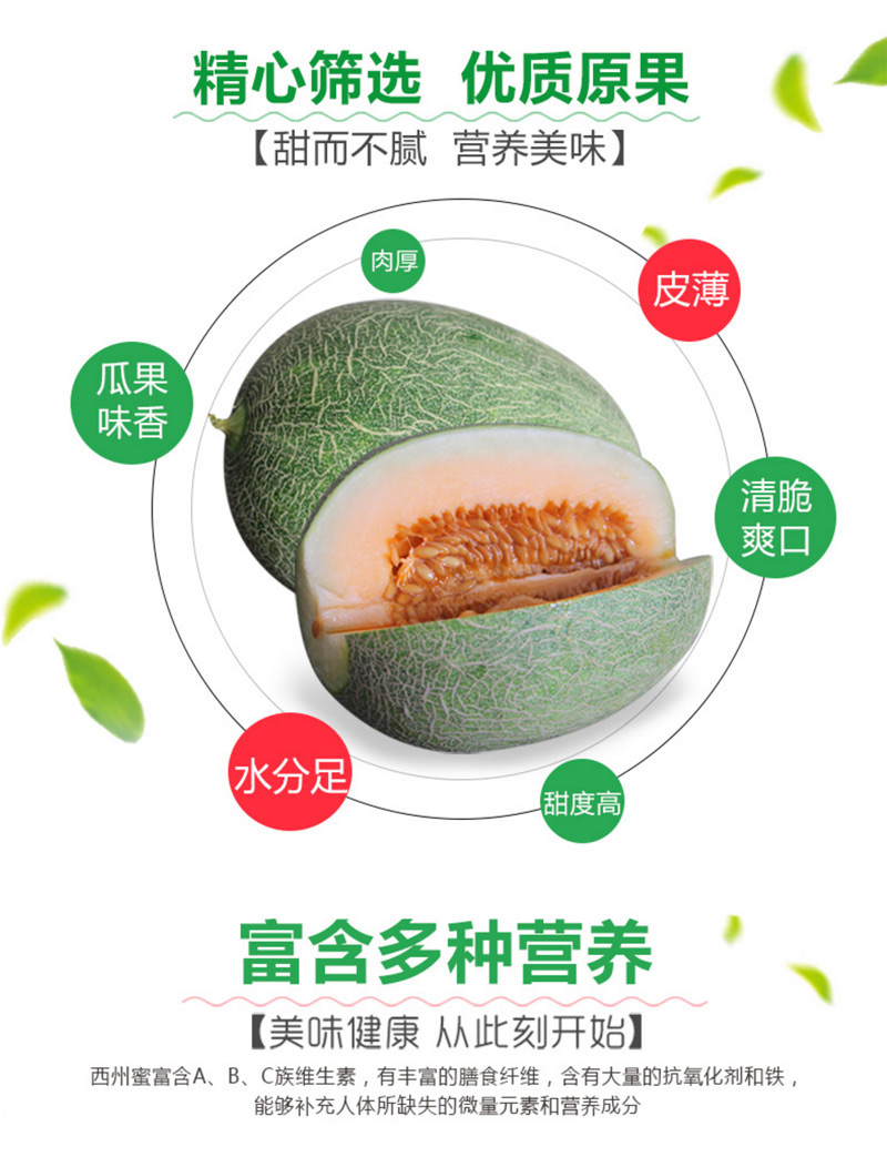 海南西州蜜 海沙蜜瓜2个10斤装 果园直供 顺丰包邮